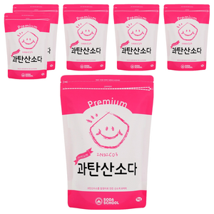소다스쿨 프리미엄 과탄산소다, 1kg, 6개