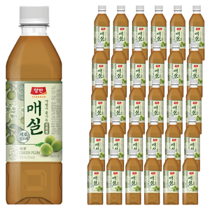 양반 매실 주스, 500ml, 36개