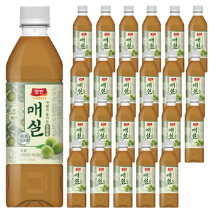양반 매실 주스, 500ml, 24개