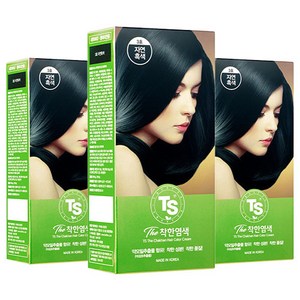 TS 더착한 염색 파우치형 120g, 3호 자연흑색, 3개