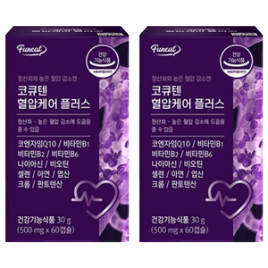 퍼니트 코큐텐 혈압케어 플러스, 60정, 2개