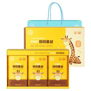 한삼인 아이홍삼 30포 + 쇼핑백, 600ml, 1세트