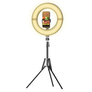 조이트론 RGB 링라이트 접이식 조명 30cm + 스마트폰 홀더 삼각대 세트, 1세트, LD50F