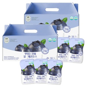 유기농마루 맛있는 진짜 블루베리 주스, 100ml, 40개