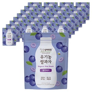 상하목장 유기농 쌀과자, 블루베리, 30g, 48개