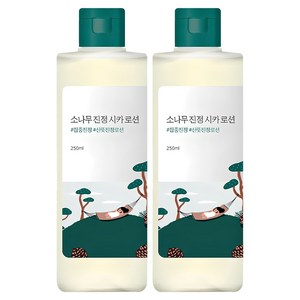 라운드랩 소나무 진정 시카 로션, 250ml, 2개