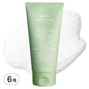 아비브 아크네 폼 클렌저 어성초, 150ml, 6개