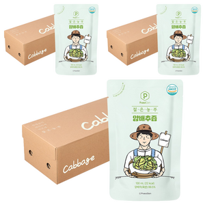 푸릇담 젊은농부 양배추즙, 3L, 3개