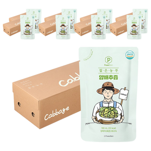 푸릇담 젊은농부 양배추즙, 3L, 9개