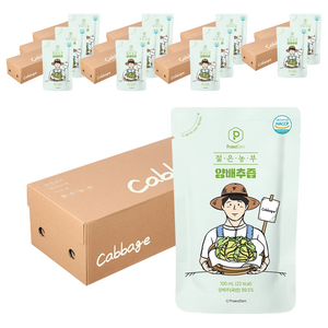 푸릇담 젊은농부 양배추즙, 3L, 12개