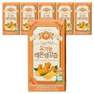 홀베리 그대로 짜낸 유기농 레몬 생강즙 14p, 210g, 6개