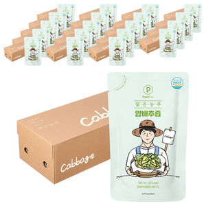 푸릇담 젊은농부 양배추즙, 3L, 20개