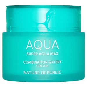 네이처리퍼블릭 슈퍼 아쿠아 맥스 컴비네이션 복합성용 수분크림, 120ml, 1개