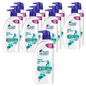 헤드앤숄더 가려운 두피케어 샴푸, 850ml, 12개