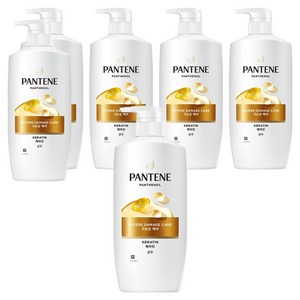 팬틴 극손상케어 샴푸 프루티 플로럴, 750ml, 6개