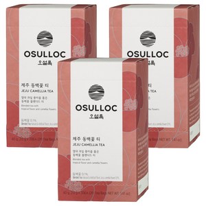 오설록 제주 동백꽃 티백, 2g, 20개입, 3개