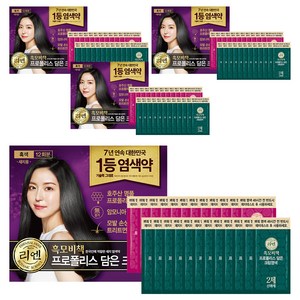 리엔 흑모비책 프로폴리스 담은 크림 염색제 새치용 12회분, 흑색, 4개