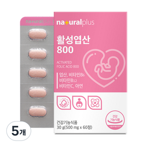내츄럴플러스 활성 엽산 800 30g, 60정, 5개