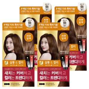 엘라스틴 살롱 드 컬러 앤 새치 염색 크림, 자연갈색, 4개