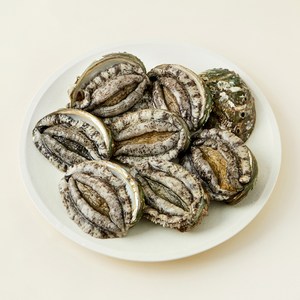 완도맘 산지직송 활전복 (냉장), 1kg 내외(왕특, 8마리), 1개