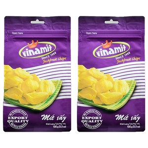 비나밋 잭푸룻칩, 100g, 2개