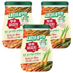 새미네부엌 부추 파김치 양념, 120g, 3개