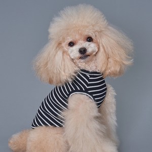 도그아이 강아지옷 골지 줄무늬티, 블랙, 1개