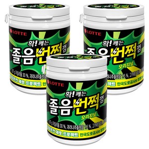 롯데웰푸드 졸음번쩍 껌, 3개, 87g