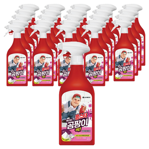 홈스타 맥스프레쉬 뿌리는 곰팡이 싹 세정제, 500ml, 25개