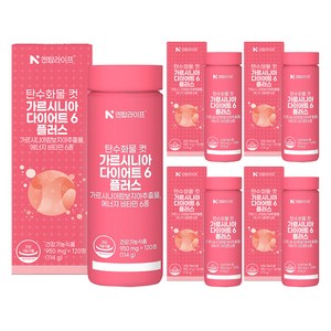 엔탑라이프 탄수화물 컷 가르시니아 다이어트6 플러스 114g, 120정, 5개