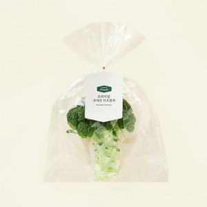 프리미엄 국내산 브로콜리, 250g, 1개입, 1개