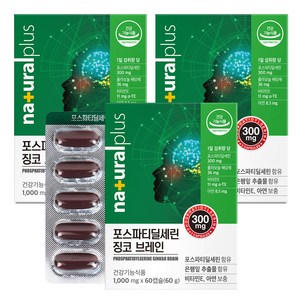 내츄럴플러스 포스파티딜세린 징코 브레인, 60정, 3개
