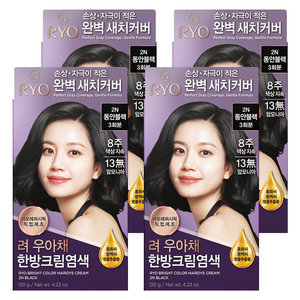 려 우아채 영양 새치염색약, 2N 동안블랙, 4개