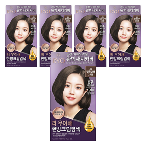 려 우아채 멋내기 새치크림, 4N짙은갈색, 5개