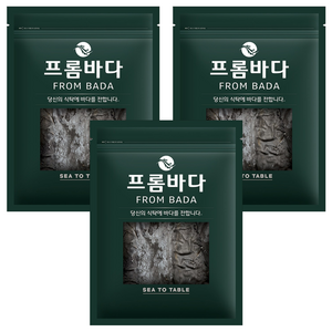 프롬바다 완도 뿌리다시마, 500g, 3개