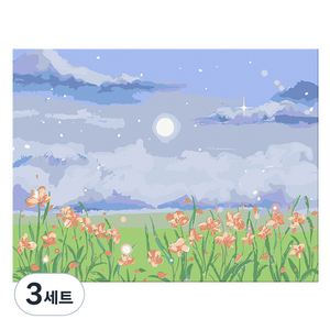 타미나요 고급스러운 DIY 그림그리기 세트 40 x 50 cm, 뷰, 3세트