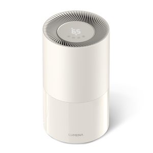 루메나 오브제 제습기 13L DRY TOWER