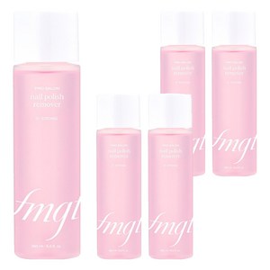 fmgt 프로 살롱 네일 리무버 스트롱, 150ml, 5개