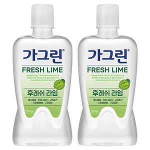 가그린 후레쉬 라임 구강청결제, 750ml, 1개입, 2개 골드박스 특가