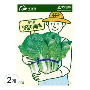 아시아종묘 엇갈이배추 씨앗 10g, 2개