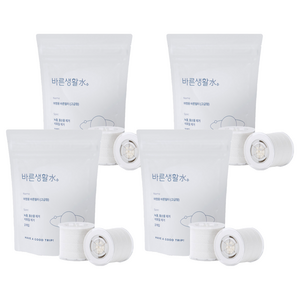 바른생활수 여행용 바른 샤워기필터 2p, 4개, 고급형