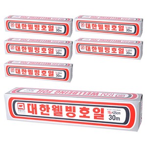 대한웰빙은박접시 호일, 30m, 6개