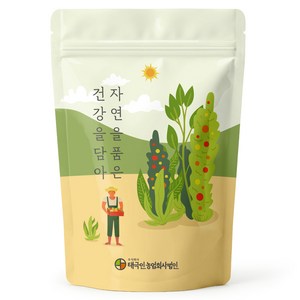 자연닮음 국내산 부지깽이 나물, 1개, 100g