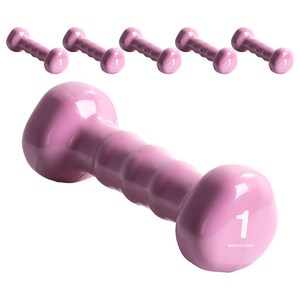 아이워너 PVC 삼각아령, 1kg, 6개