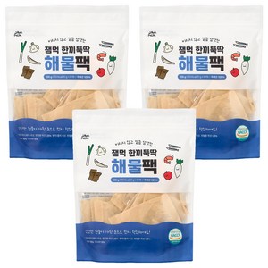 잼먹 이유식 해물팩 아기 육수팩 10p, 100g, 3개