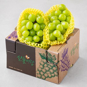 산들이랑 비파괴당도선별 샤인머스캣, 1kg(1-2수), 1개 골드박스 특가