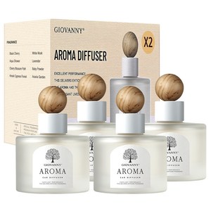 GIOVANNY 차량용 방향제 100ml 2p, 아카시아정원, 2세트
