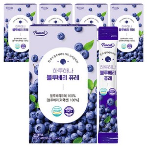 퍼니트 하루하나 블루베리 퓨레, 20g, 70개