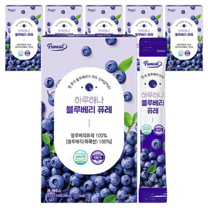 퍼니트 하루하나 블루베리 퓨레, 20g, 84개