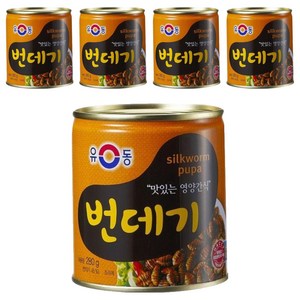 유동 번데기 통조림, 280g, 5개
